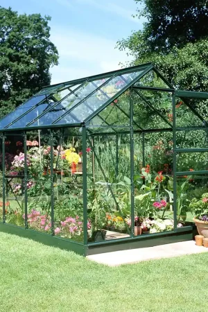 Op = Op Royal Well Tuinkas Popular 86 Veiligheidsglas Groen Gecoat